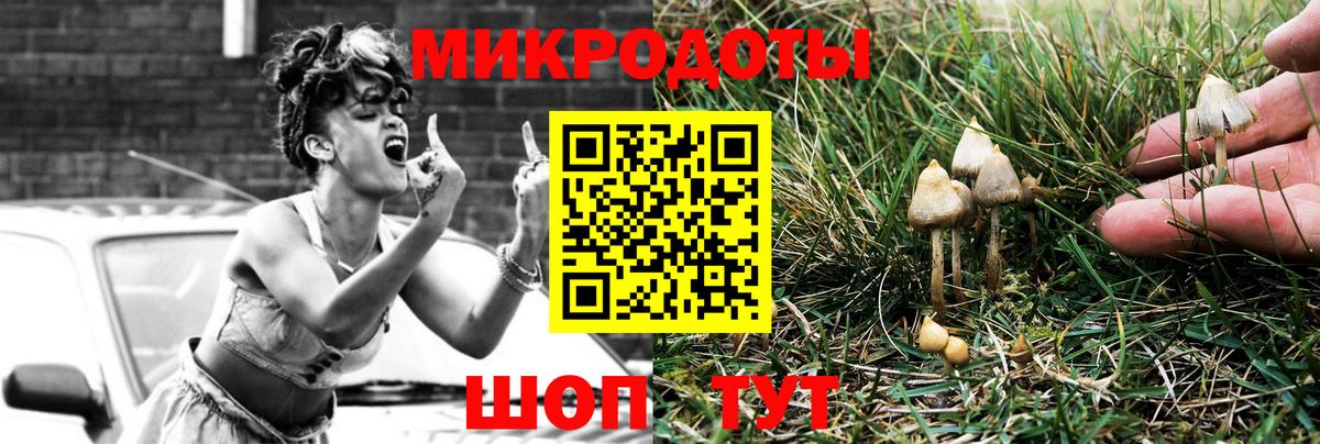 Галлюциногенные грибы MAGIC MUSHROOMS Симферополь